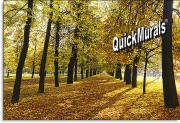 autumn park wall mural