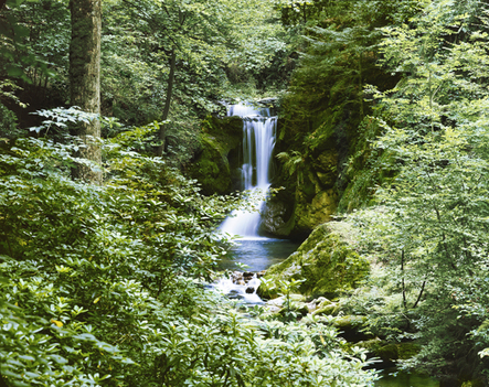 Waterfall in Spring Wall Mural