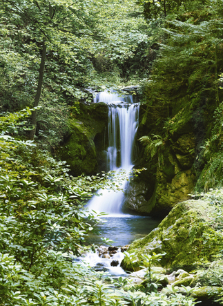 Waterfall in Spring Wall Mural