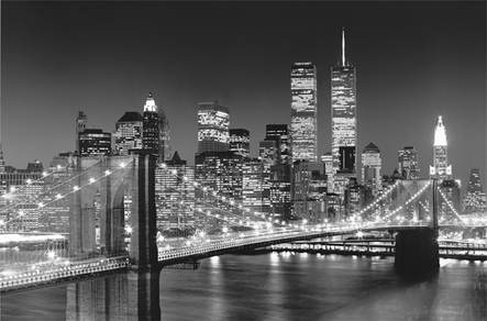 Brooklyn Bridge Wall Mural by Henri Silberman