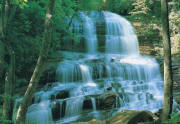 pearson falls wall mural