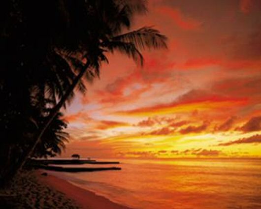 Tobago Sunset Wall Mural