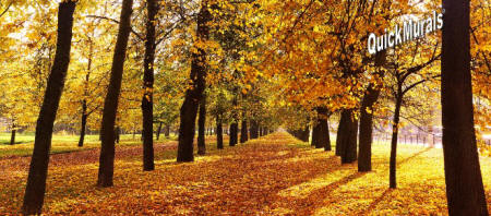 Autumn Park Wall Mural