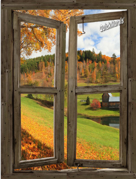 Vermont Cabin Window Wall Mural