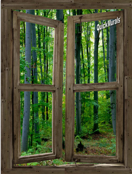 Woodland Cabin Window Wall Mural 