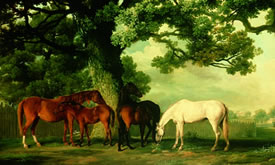 Green Pastures Mural