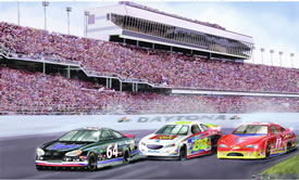 Nascar Wall Mural