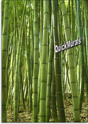 bamboo grove wall mural