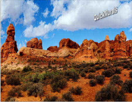 Canyonlands wall mural