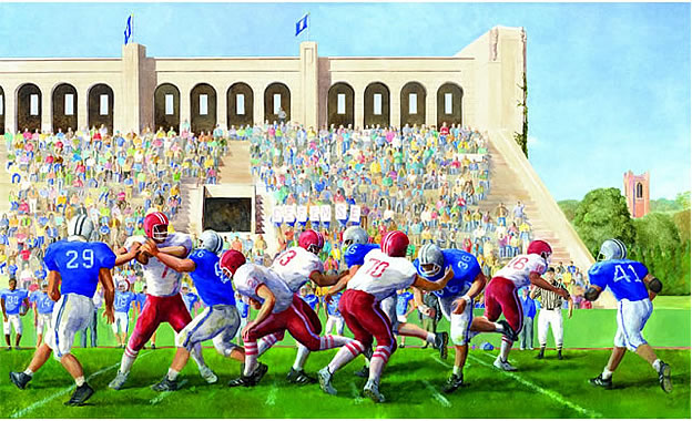 Football Stadium Wall Mural 