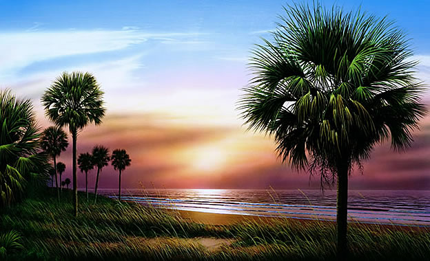 Palmetto Sunrise Wall Mural