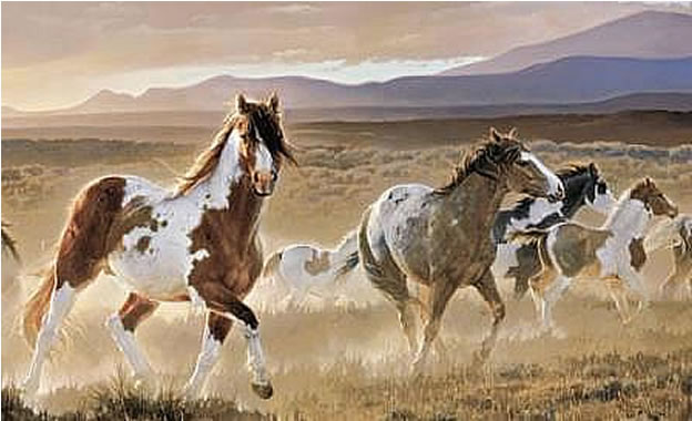 Desert Horse Wall Mural 